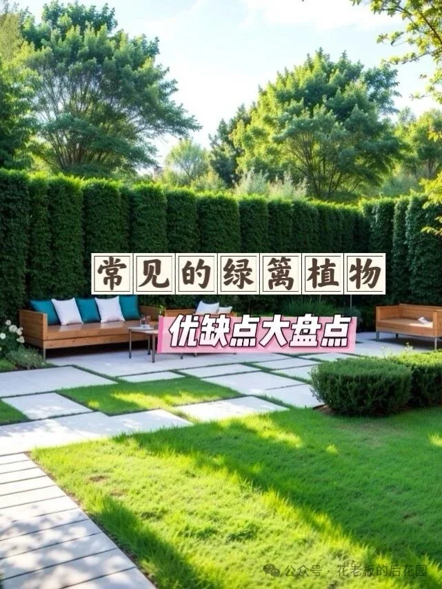 庭院绿篱终极选购指南：从造价、养护到颜值，一篇讲透-灵感屋