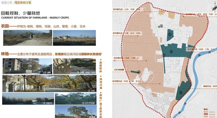 生态基底分析图